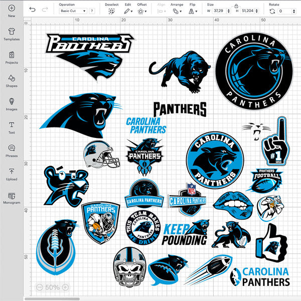 Carolina Panthers NFL Bundle | SVG, EPS, PNG